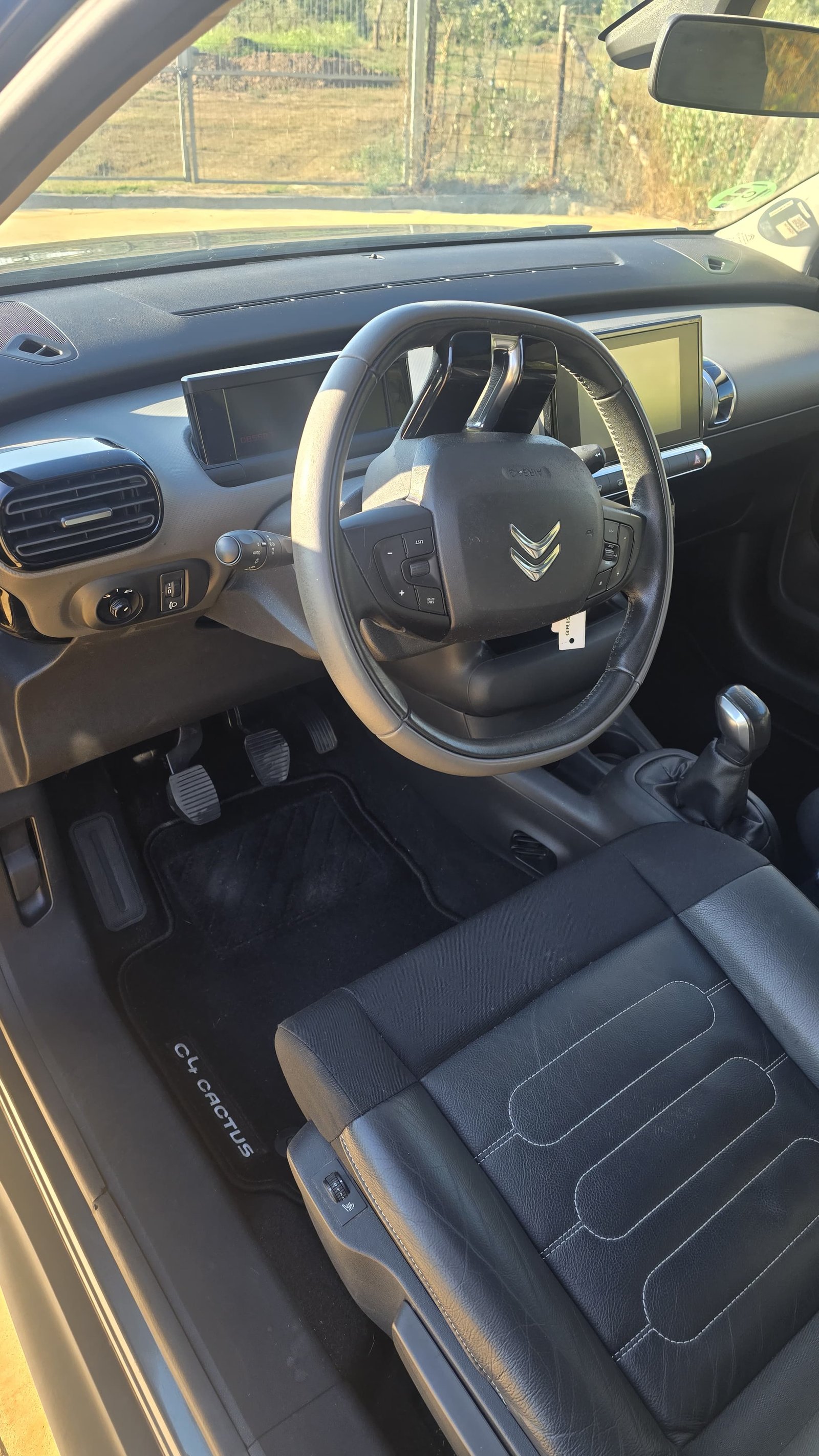 Citroen C4 Cactus 1.6 Blue HDI