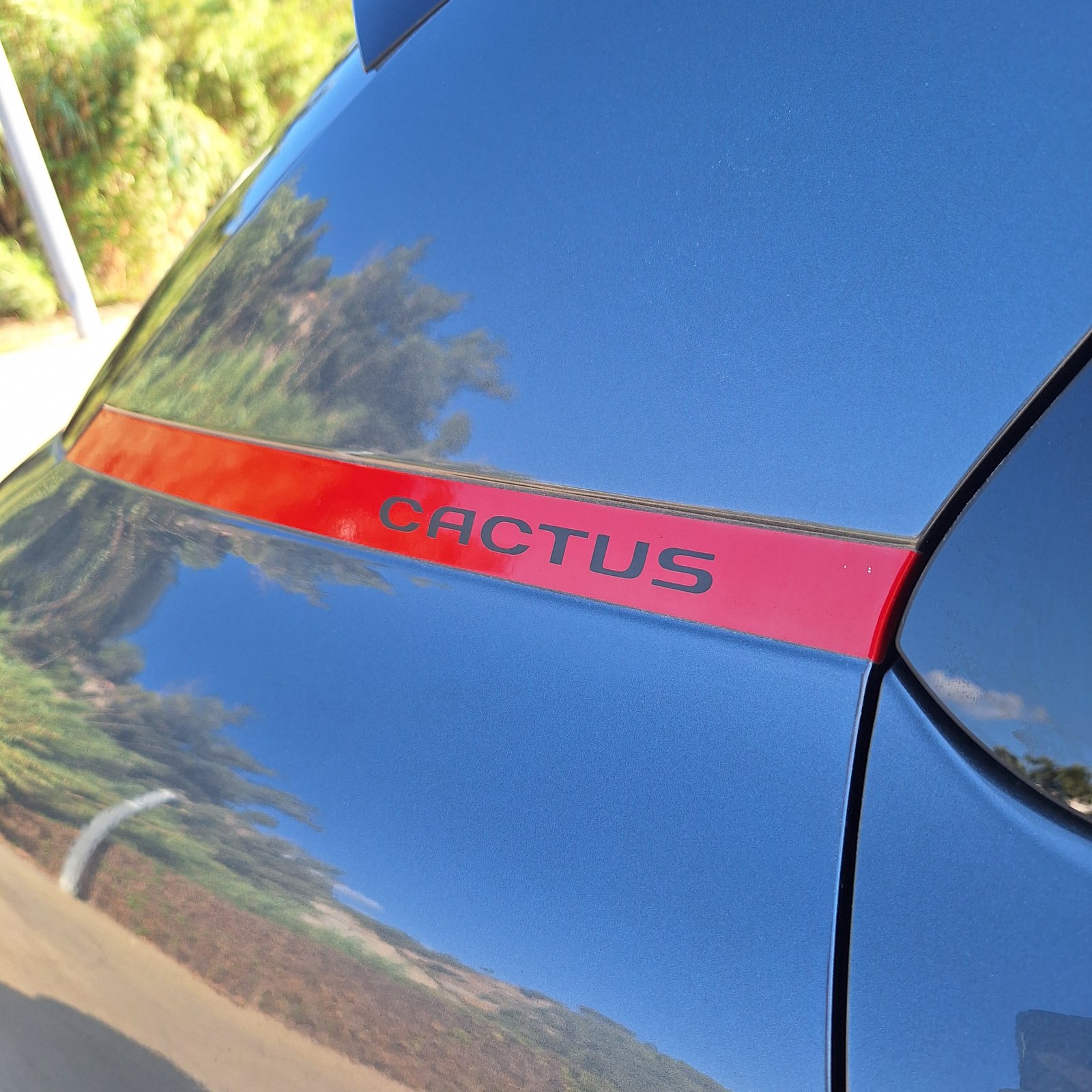 Citroen C4 Cactus 1.6 Blue HDI